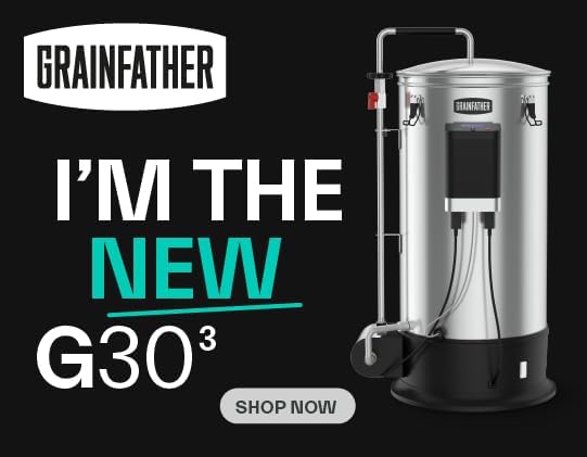 Grainfather G30 Gen3 vs G30v3 220V: First-Look Analysis for the All-Grain Upgrade