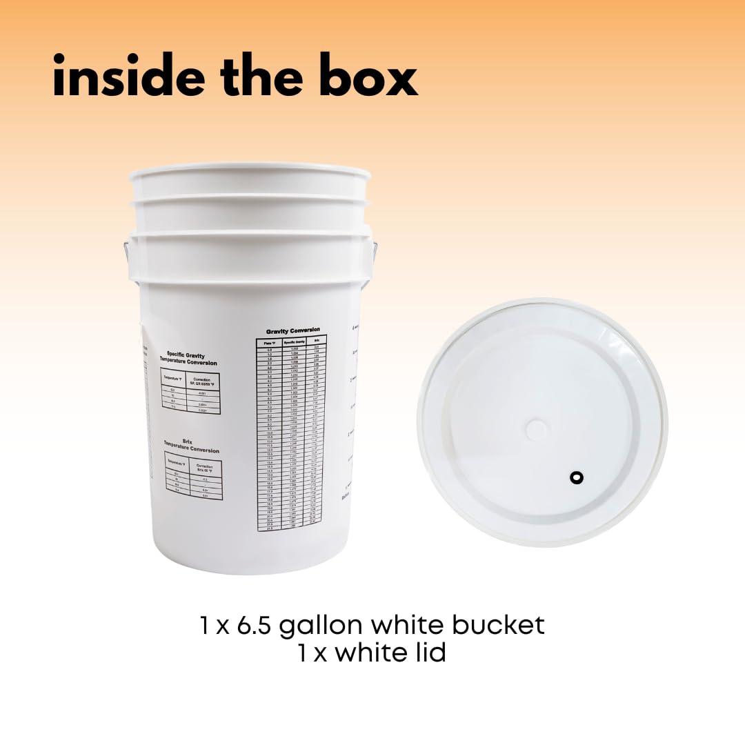 The Fermenter Upgrade Path: From Plastic Bucket to Pressure-Ready Conical